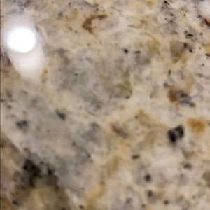 Meet your Posher, Joey